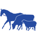Bluestack Veterinary Clinic logo